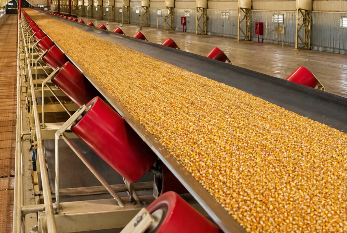Heavy-Duty Conveyor Carrying Roller for Grain Transportation